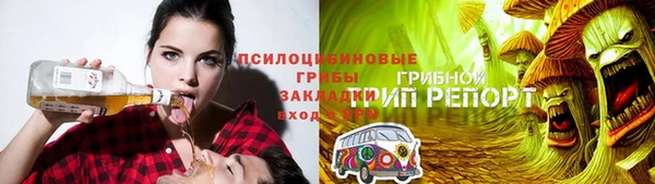 амф Абинск