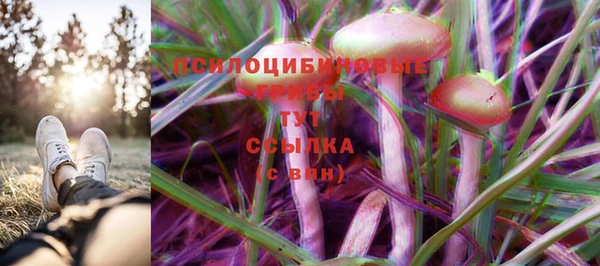 apvp Абдулино