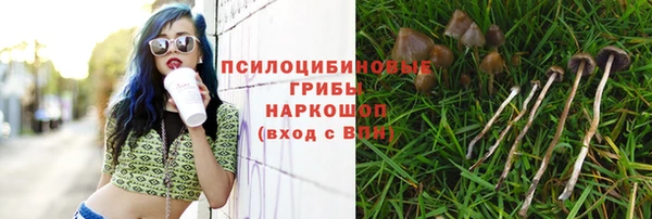 амф Абинск
