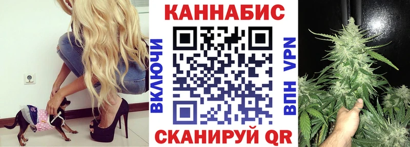 Конопля VHQ  где найти наркотики  Нолинск 